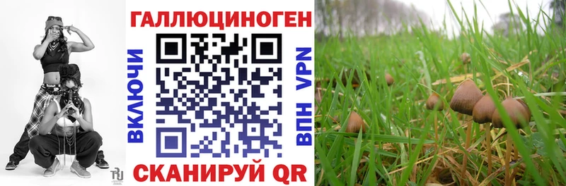 маркетплейс клад  hydra рабочий сайт  Долгопрудный  Галлюциногенные грибы MAGIC MUSHROOMS 